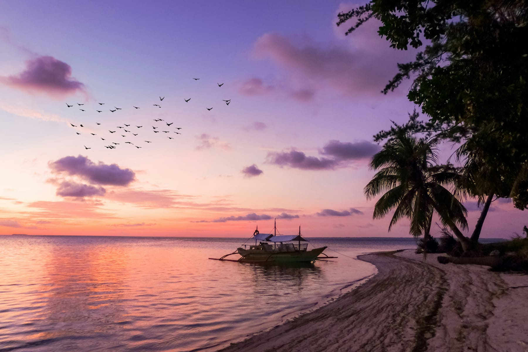 Coastal landscape at dusk — outrigger boat moored off a palm-lined shore