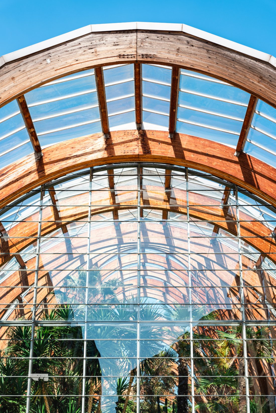 Sheffield — Winter Garden